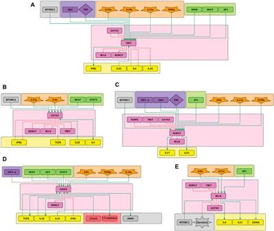 Modeling uncertainty: the impact of noise in T cell differentiation